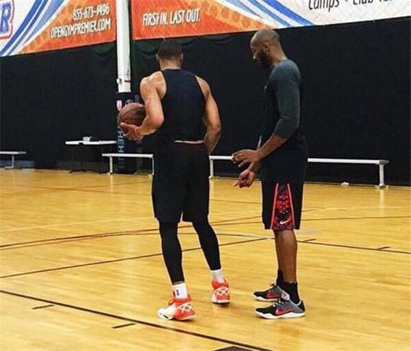 他们的隐藏 他们的隐藏